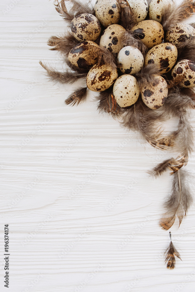 Easter eggs with feathers in the shape of a nest on a white background. Flat lay Easter eggs with feathers in the shape of a nest on a white background. Flat lay