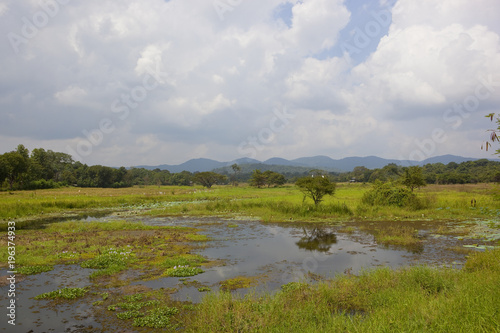 sri lankan scenic countryside