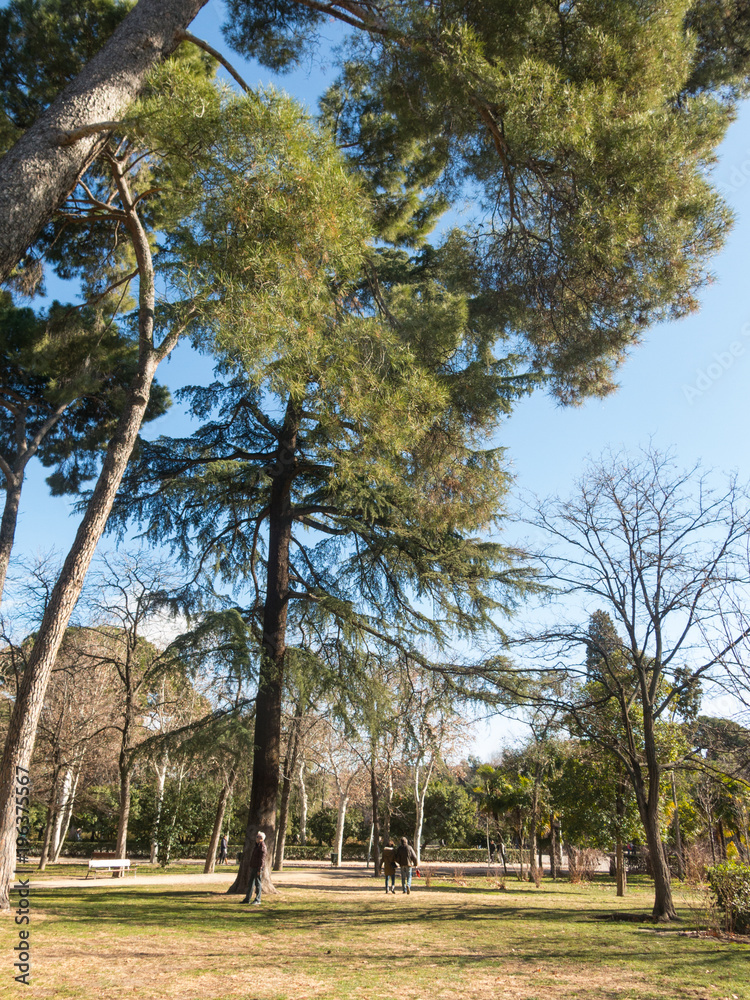 the Retiro Park in Madrid. The Buen Retiro Park is a historic garden and public park