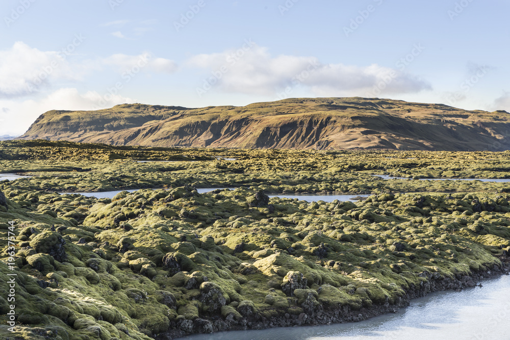 Obraz premium Island Lavafeld Moos, Streiflicht im Süden mit Küstenlinie