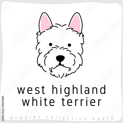 Dog Breed Collection : Vector Illustration