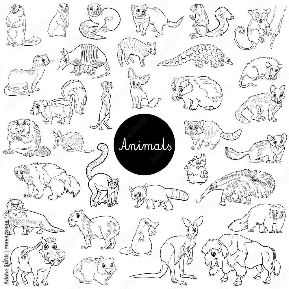 wild mammals animal characters set color book