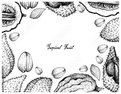 Hand Drawn Frame of Luk Rakam and Etrog Fruits
