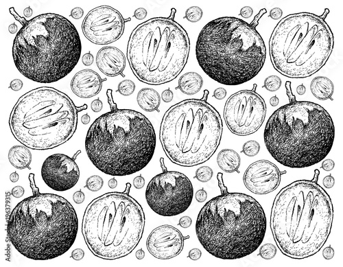 Hand Drawn Background of Star Apple Fruits photo