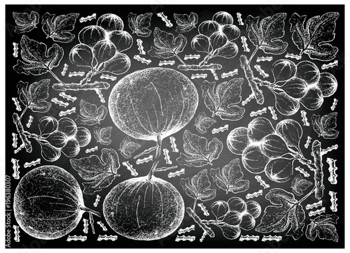 Hand Drawn Santol and Cluster Fig on Chalkboard