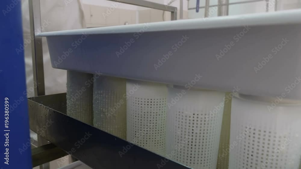 Making ricotta cheese - Diary cheese factory