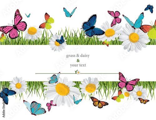 Fototapeta Naklejka Na Ścianę i Meble -  background with butterflies, daisies, grass