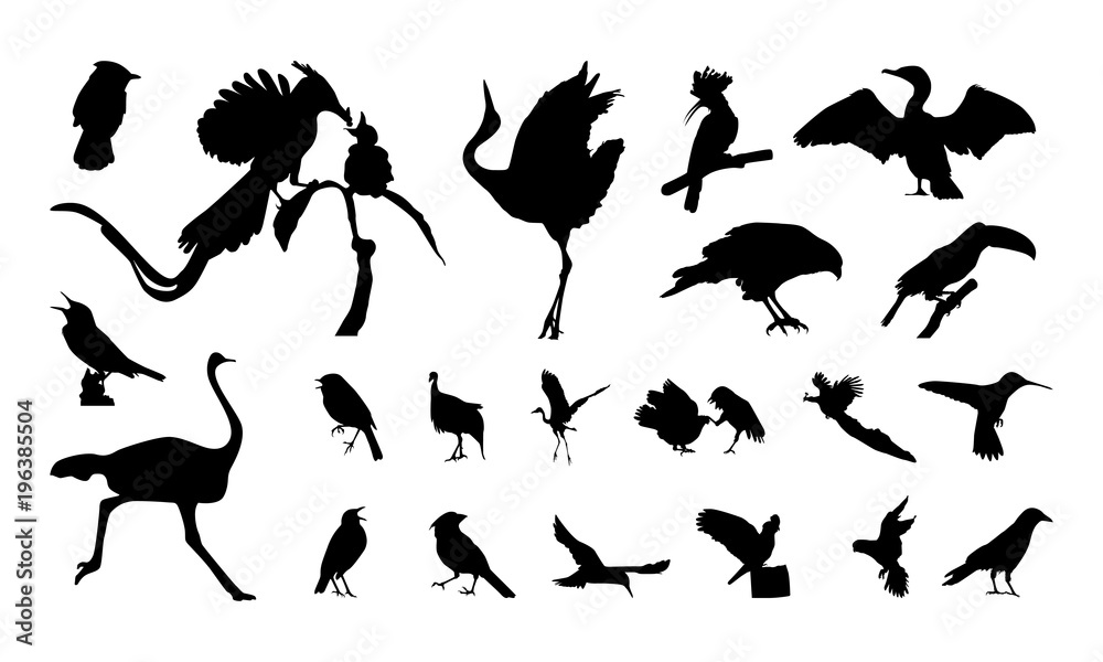 Naklejka premium set of Various Bird Silhouette vector illustration