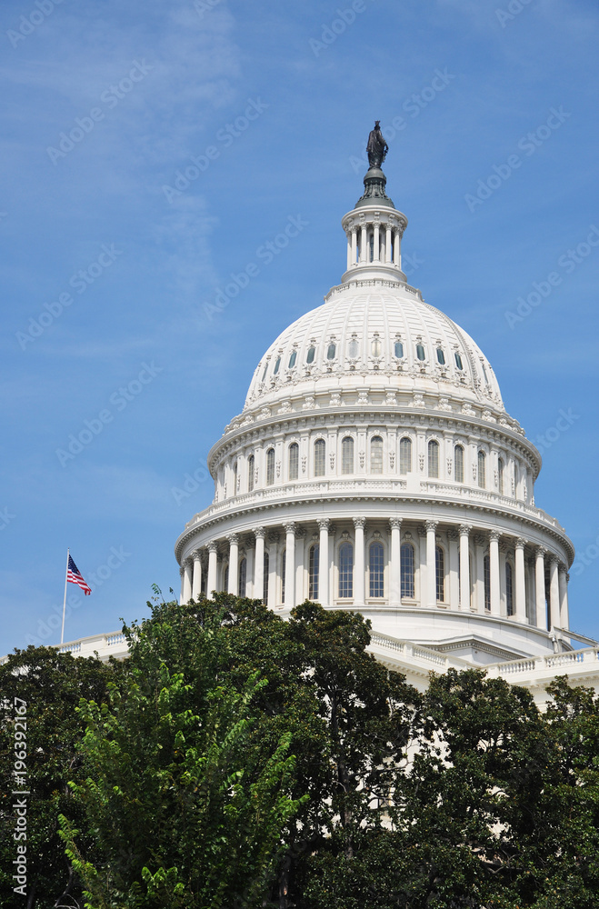 Obraz premium United States Capitol Building in Washington, District of Columbia, USA.