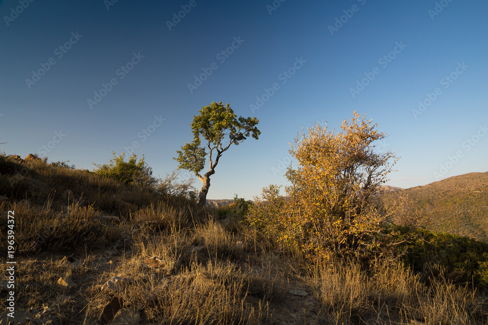 Fototapeta premium Roudbarak, Semnan, Iran