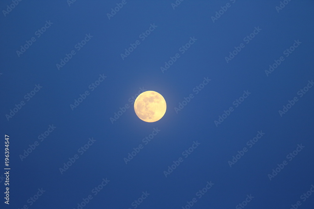 Evening winter landscape with a full moon on purple sky Evening winter landscape with a full moon on purple sky
