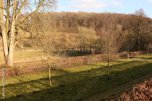 Blick über die Terrassenförmige Parkanlage von Kloster Dalheim photo