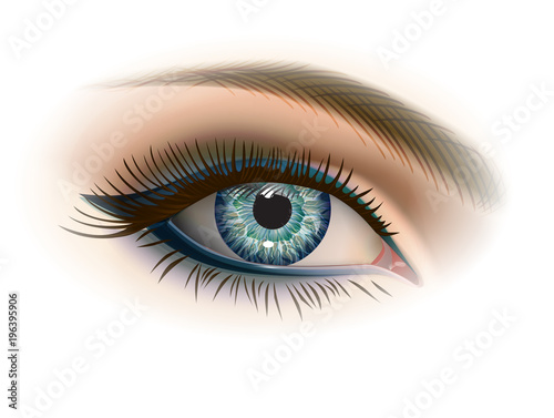 Female gray eye with makeup