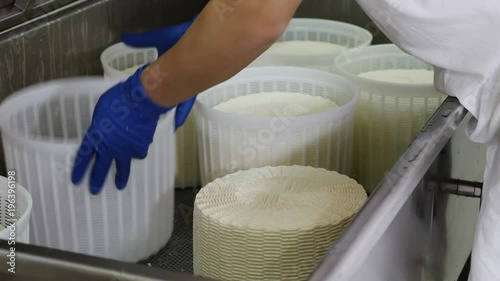 Ricotta cheeese production- workers working on molds photo