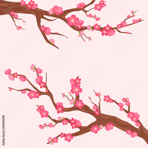 Vector illustration of japan cherry branch with blooming flowers. Sakura branches with lot of beautiful flowers on light pink background.
