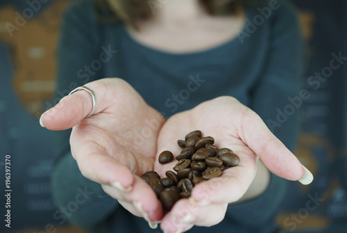Granos de café tostado de importación en la mano de una mujer 