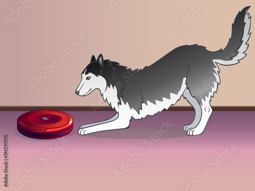 A robot is a vacuum cleaner and a dog. hoover.  Working vacuum cleaner. Close-up