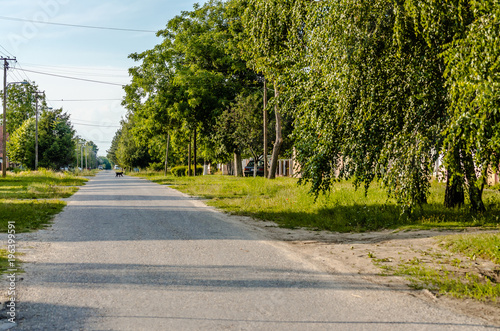 Wallpaper Mural Panorama Street in the countryside near the town of Novi Sad  Torontodigital.ca