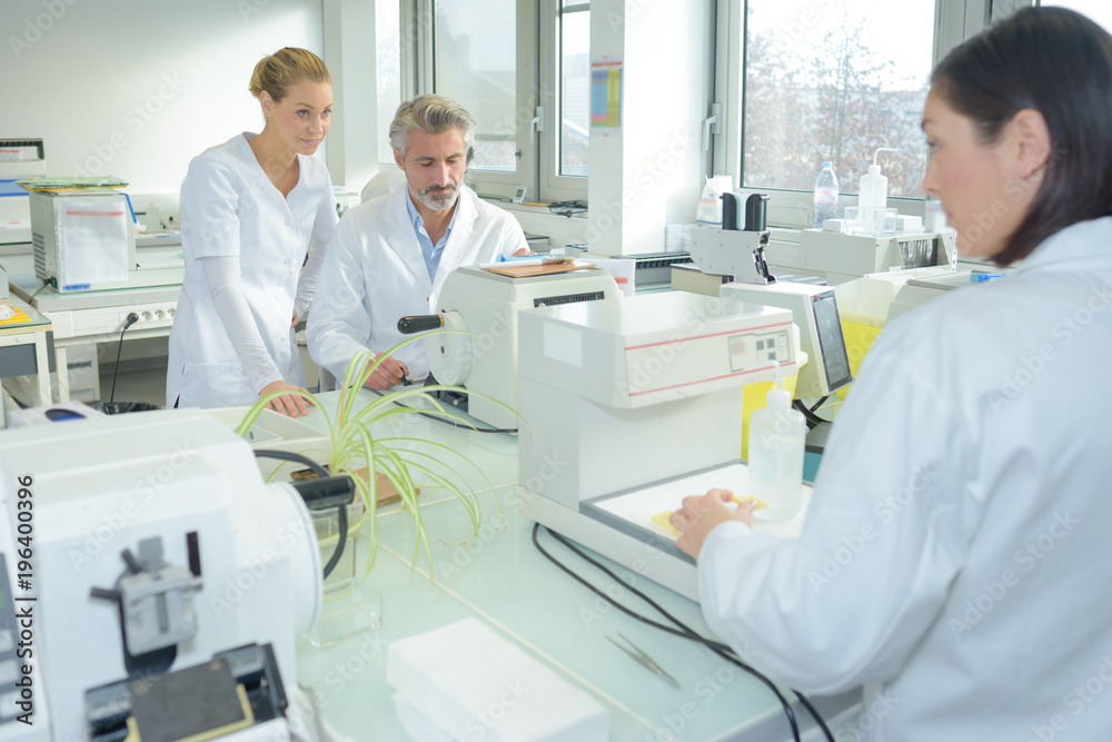 medical research team medical research team