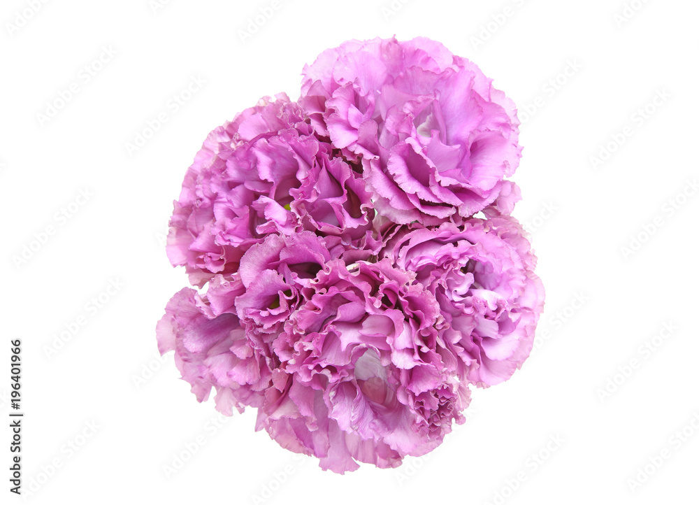 トルコキキョウの花束 トルコキキョウの花束