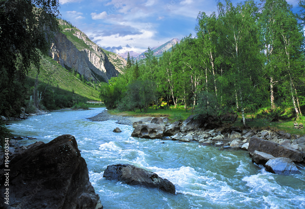 Chuja mountain river in Altai, Russia - obrazy, fototapety, plakaty 