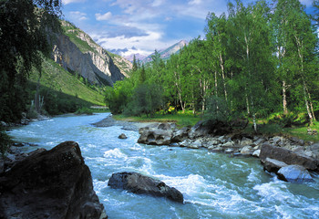 Keuken achterwand Bosrivier Chuja rivier in Altaj gebergte  © Yury Kirillov