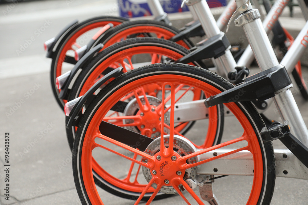 custom made wallpaper toronto digitalVelo