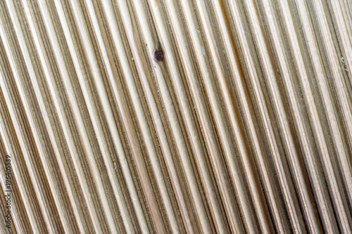wood texture beige corrugation