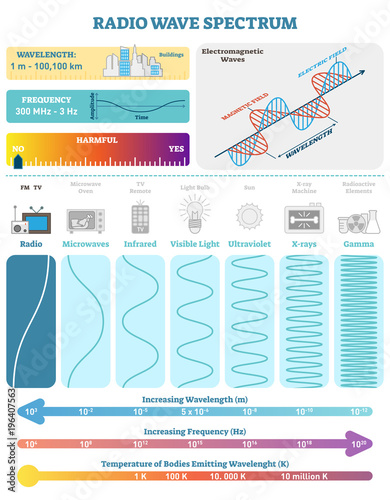 Electromagnetic Waves: Radio Wave Spectrum. Vector illustration diagram with wavelength, frequency, harmfulness and wave structure. 