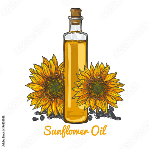 illustration with a sunflower oil and sunflower seeds, glass oil vessels.
