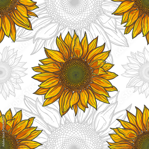 seamless pattern with a sunflower, bright flower and outline on white background