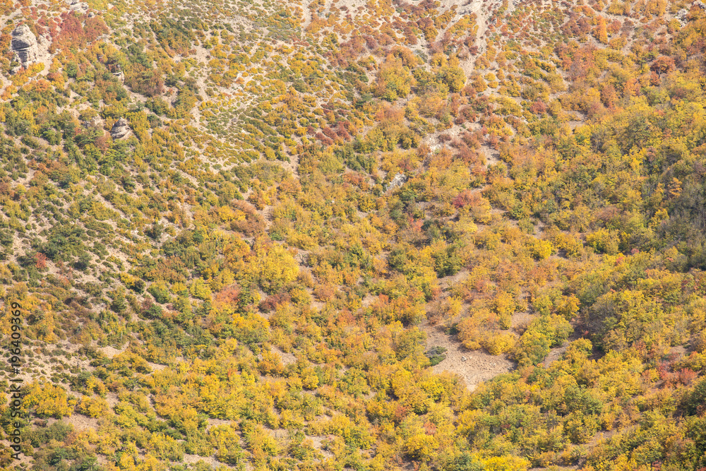Naklejka premium Autumn in Roudbarak, Semnan, Iran