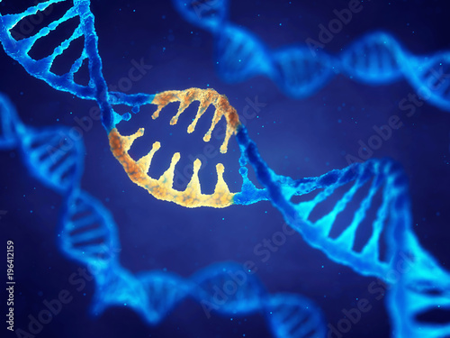 Double helix DNA molecule with modified genes , Correcting mutation by genetic engineering photo