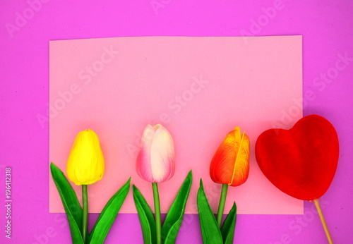 Fototapeta Naklejka Na Ścianę i Meble -  red and pink tulips.flower background