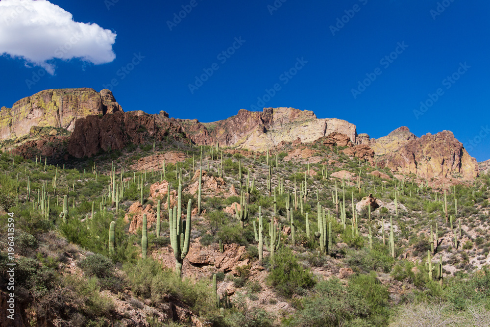 Fototapeta premium Apache Trail 3