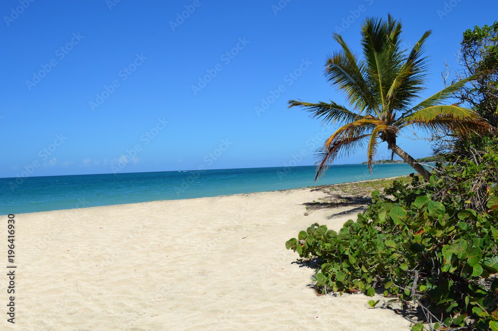 Lovers Beach Nevis