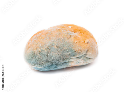 Photography Moldy inedible spoiled food. Mold on bread
