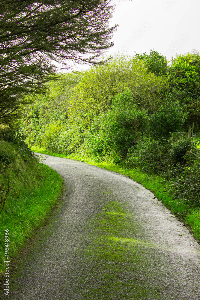 Mountain road Ireland