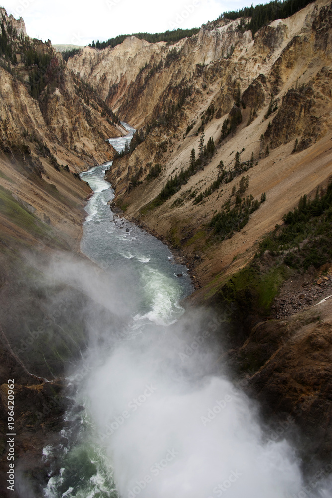 Obraz premium Yellowstone National Park, Montana, USA.