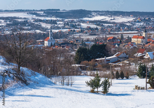 Nice village at lake Balaton in winter