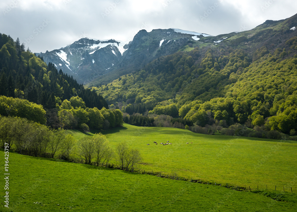Natural Reserve of the Valley Chaudefour