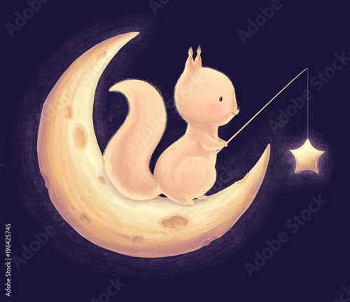 Squirrel catch the stars