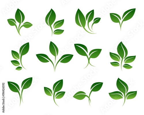 Green sprouts. Growing plants signs isolated on white background, vector sprouting shoots with green leaves symbols