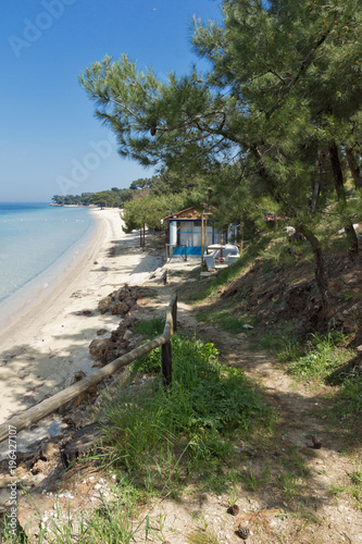 beach with blue waters in Thassos island  East Macedonia and Thrace  Greece  
