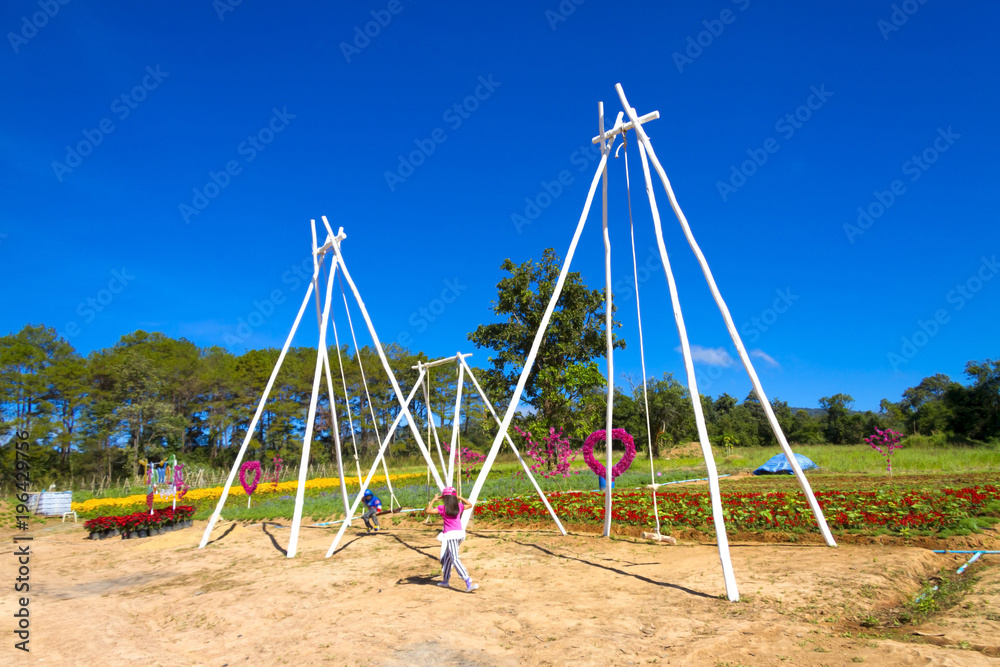 Field cosmos flower and swing Field cosmos flower and swing