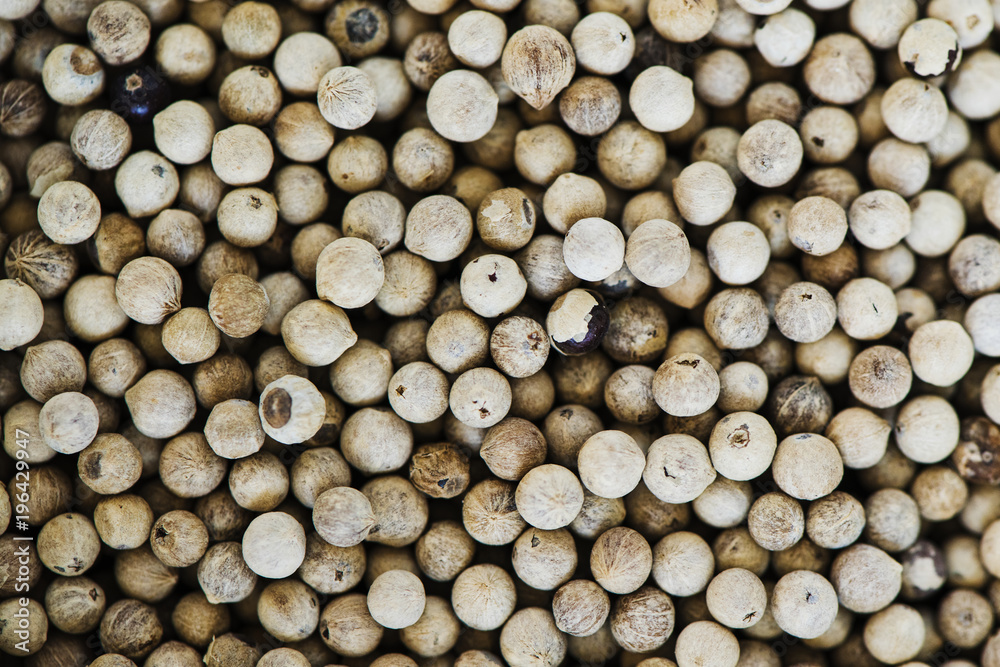 Closeup of pepper seeds Closeup of pepper seeds
