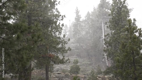 A blinding snowstorm strikes in the Sierra Nevada mountains at Lake Tahoe.