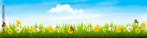 Spring nature landscape banner with flowers and butterflies. Vector. © ecco