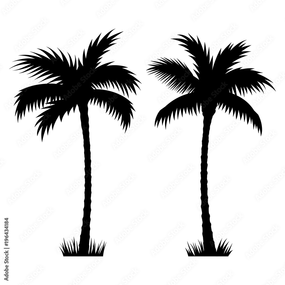 Naklejka premium Palm tree 002