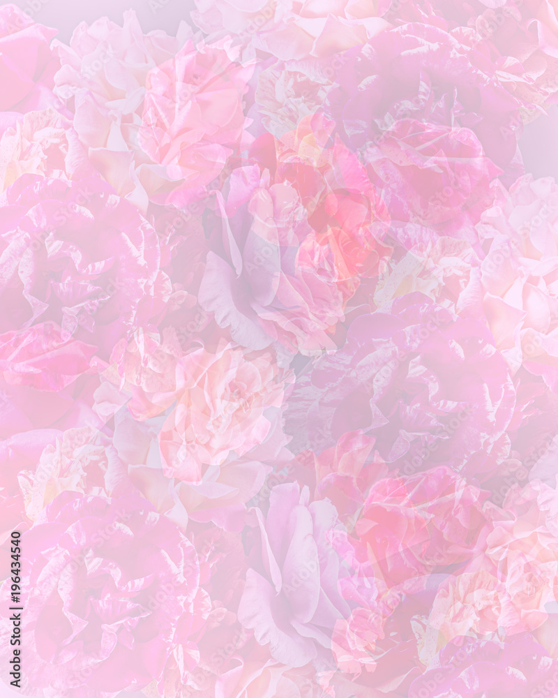Collage of Pastel Roses
